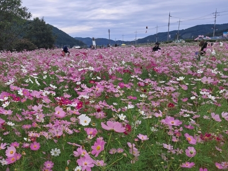 메인사진